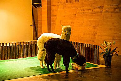 《地下城与勇士：决斗》现身Steam后台 6月28日正式发售